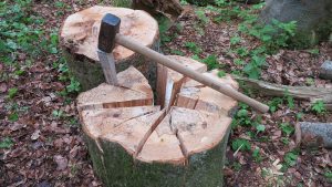 Online Brennholz in Rosenheim bestellen